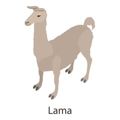 Lama icon, isometric style