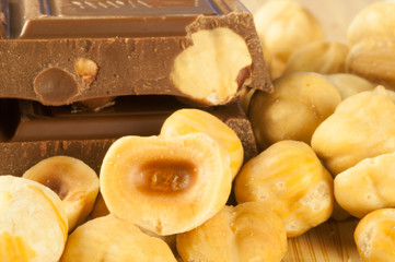 macro detail of hazelnuts and chocolate