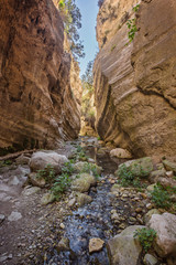 Avakas Gorge in Cyprus. Little river in foreground, sunlit rocks