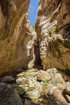 Amazing natural landscape in the Avakas canyon in Cyprus. National sunny wild park with cliffs, mountains, rocks and trees.