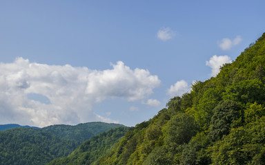 Picturesque mountains coverd with forest
