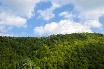 Obraz premium Picturesque mountains covered with forest
