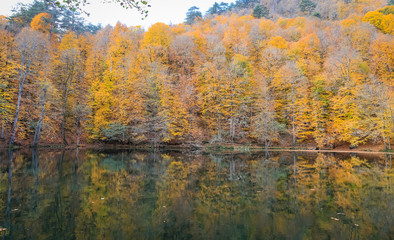 Buyuk Lake in Yedigoller National Park, Turkey