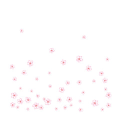 Sakura, Peach Cherry or Apple Flowers Vector Confetti. Elegant Falling Down Spring Romantic Floral Decoration. Magic Wedding Decoration, Realistic Sakura Cherry, Peach or Apple Blossom Background