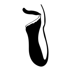 Black and white carnivorous "Pitcher Plant" (or Nepenthes, Monkey Cup, Bauchige Kannenpflanze) silhouette - Eps10 vector graphics and illustration