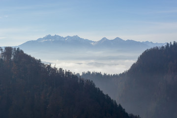 Morning mist in Pieniny mountains in Poland