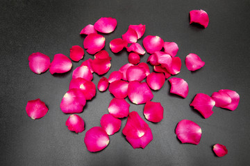 Rose petals