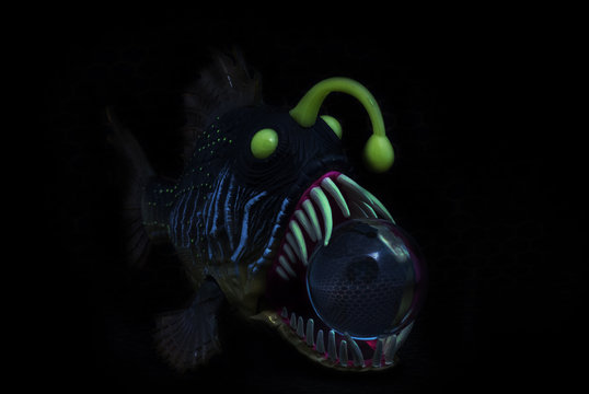 Angler Fish