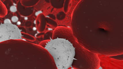 Vein, artery, or capillary Red and white blood cells