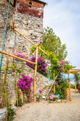 Beautiful garden near castle Brown in Portofino,  Liguria, Italy