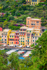 Beautiful bay with colorful houses in Portofino,  Liguria, Italy