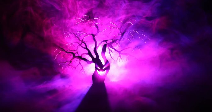 Silhouette of scary Halloween tree with horror face on dark foggy toned background with moon on back side. Scary horror tree with zombie and monster demon faces.