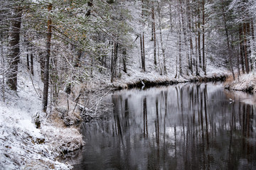 Forest winter flow river lies and strikes the shores of the Siberian taiga