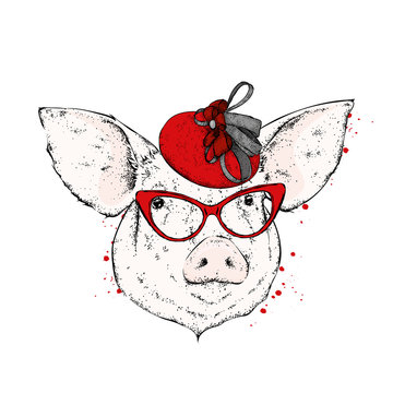A pig with glasses and a bonnet. Vector illustration.