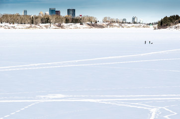 Obraz premium Two people cross-country skiing and a dog in the city