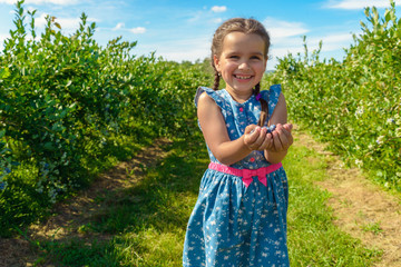 Ripe fresh blueberry in girl hands