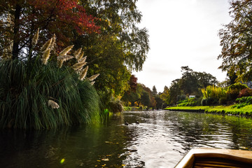 Punting On The Avon.Sightseeing rides in a small, flat-bottomed boat,Christchurch,New Zealand