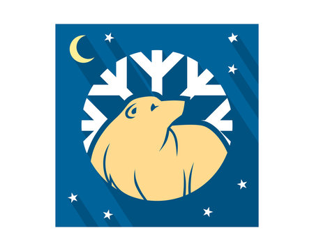 winter bear night fauna animal wildlife image vector icon silhouette