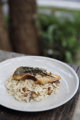 risotto with sea bass fillet steak on wood background , italian food