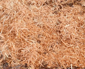 Wood shavings