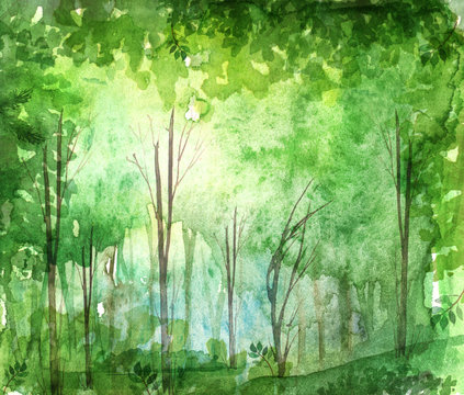 Watercolor illustration, dark, dense forest. A set of pictures. Seasons. Summer, spring, autumn landscape. Abstract spots of green, yellow. Park, forest, grove, trees. 