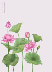 flower graphic & illustration