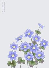flower graphic & illustration