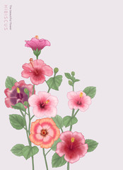 flower graphic & illustration