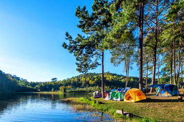 Naklejka premium Camping tents under pine trees with sunlight at Pang Ung lake, Mae Hong Son in Thailand.