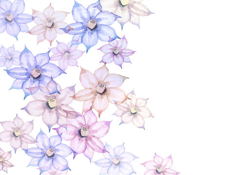 1 649 Best クレマチス Images Stock Photos Vectors Adobe Stock