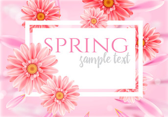 Gerbera flower on bright pink background.