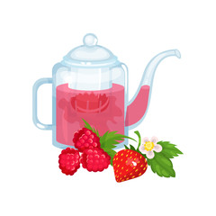 Natural green herbal tea in a glass transparent teapot with fresh ripe raspberry and strawberry vector Illustration