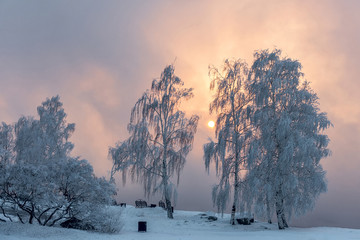 Winter evening on the banks of the Angara River