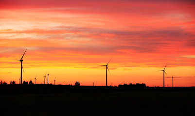 Fototapeta na wymiar Wind turbines in the evening