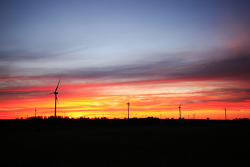 Wind turbines in the evening