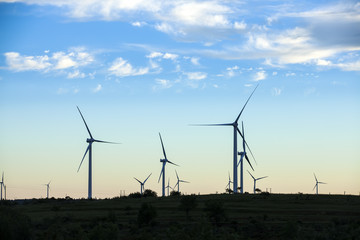 Obraz premium Wind turbines in the evening