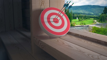 target with bow arrows