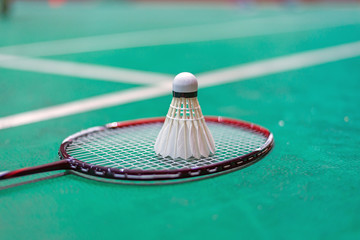 shuttlecock and badminton racket in  court