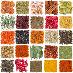 Set of different spices and seasonings