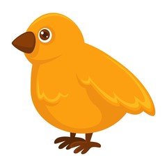 Little fluffy yellow chicken with small sharp beak