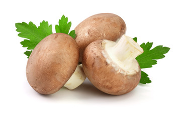 Royal Brown champignon with parsley leaf isolated on white background