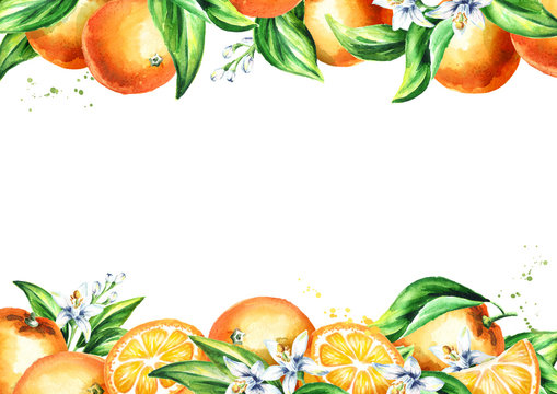 Fresh orange horizontal background. Watercolor hand drawn illustration, isolated on white background