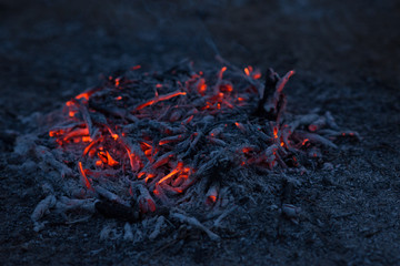 Smoldering ashes of a bonfire
