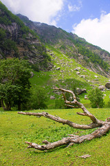 Fototapeta na wymiar Landscape. Kinnaur district of Himachal Pradesh