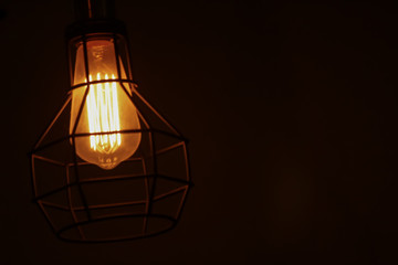 Fototapeta na wymiar Caged Bulb Glowing in dark
