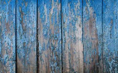 Fototapeta na wymiar decorative background ofcracked old blue paint on a wooden wall made of rough of rough boards