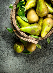 Ripe pears in a wooden bucket.