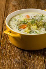 Traditional cucumber soup with pickled cucumbers.