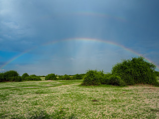 Amazing scene of double rainbow on blue sky copy space background above natural sand, grass  and tree on savanna plain, Chobe national park