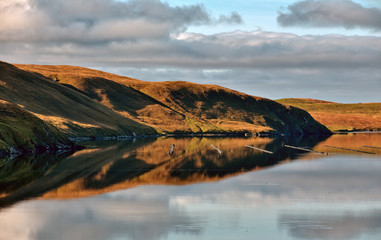 Beautiful early light on a sea loch in Mainland Shetland, Scotland, UK.